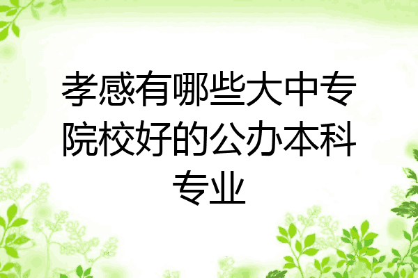 孝感有哪些大中专院校好的公办本科专业