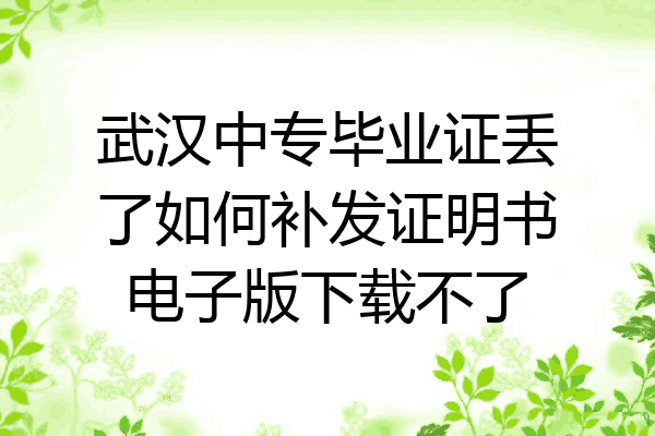 武汉中专毕业证丢了如何补发证明书电子版下载不了