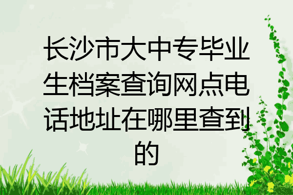 长沙市大中专毕业生档案查询网点电话地址在哪里查到的