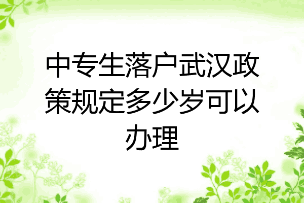 中专生落户武汉政策规定多少岁可以办理