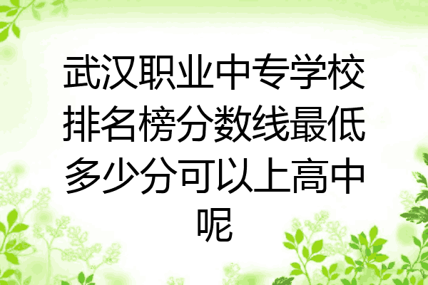 武汉职业中专学校排名榜分数线最低多少分可以上高中呢