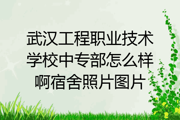 武汉工程职业技术学校中专部怎么样啊宿舍照片图片