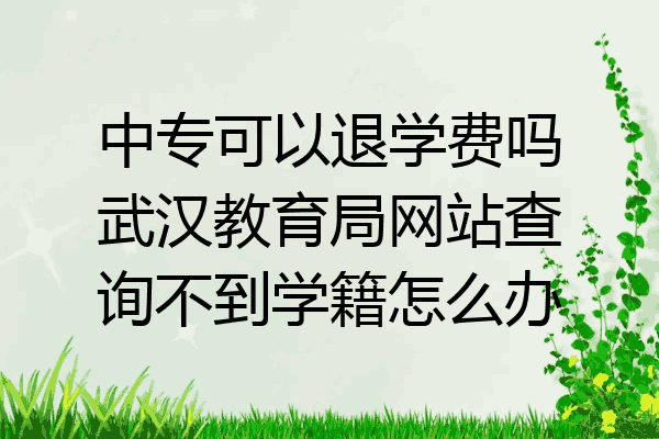 中专可以退学费吗武汉教育局网站查询不到学籍怎么办