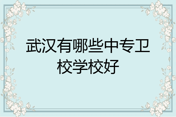 武汉有哪些中专卫校学校好