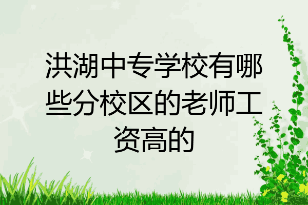 洪湖中专学校有哪些分校区的老师工资高的