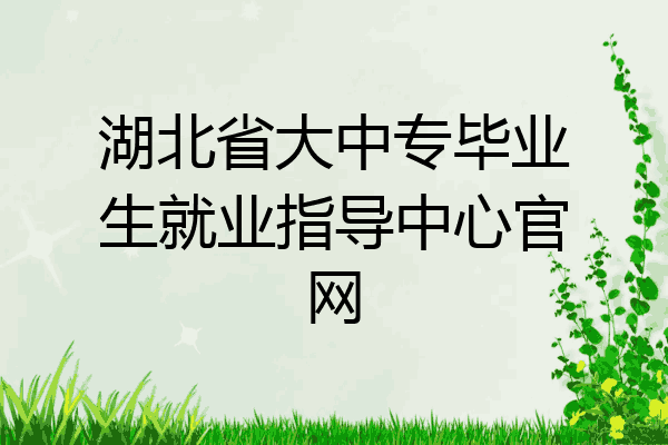 湖北省大中专毕业生就业指导中心官网