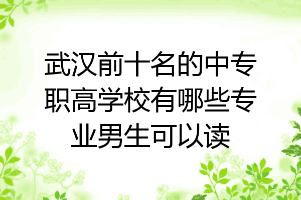 武汉前十名的中专职高学校有哪些专业男生可以读