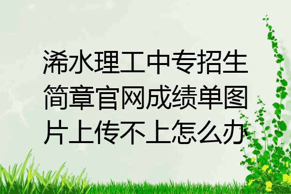 浠水理工中专招生简章官网成绩单图片上传不上怎么办
