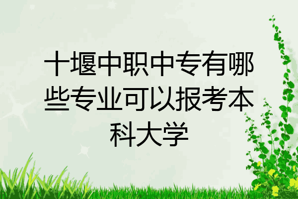 十堰中职中专有哪些专业可以报考本科大学