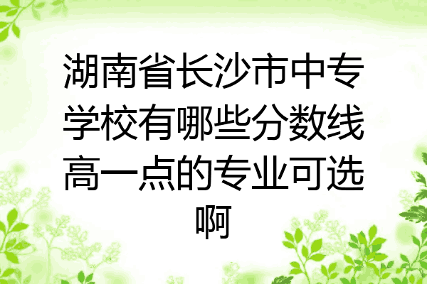 湖南省长沙市中专学校有哪些分数线高一点的专业可选啊
