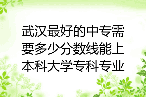 武汉最好的中专需要多少分数线能上本科大学专科专业