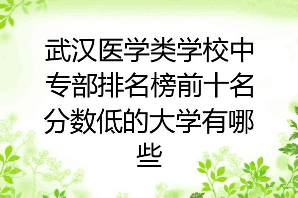 武汉医学类学校中专部排名榜前十名分数低的大学有哪些