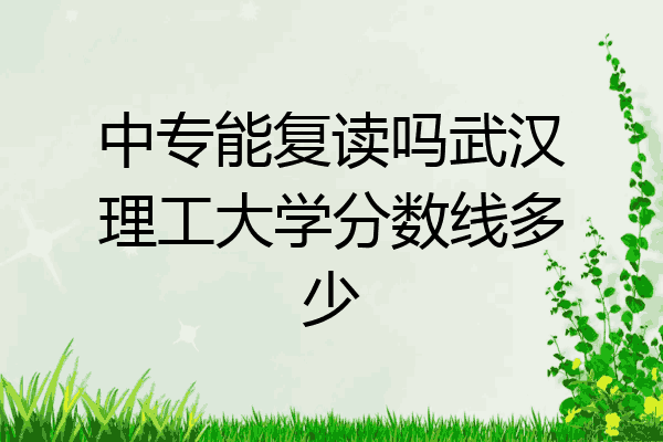 中专能复读吗武汉理工大学分数线多少