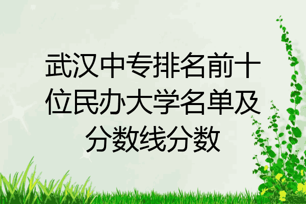 武汉中专排名前十位民办大学名单及分数线分数
