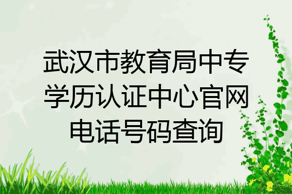 武汉市教育局中专学历认证中心官网电话号码查询