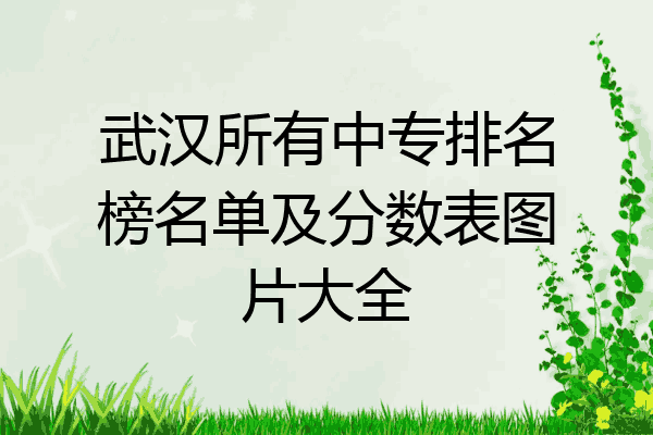 武汉所有中专排名榜名单及分数表图片大全