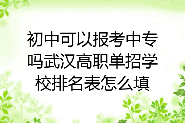 初中可以报考中专吗武汉高职单招学校排名表怎么填