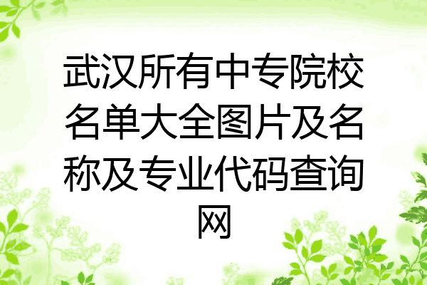 武汉所有中专院校名单大全图片及名称及专业代码查询网