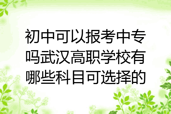 初中可以报考中专吗武汉高职学校有哪些科目可选择的