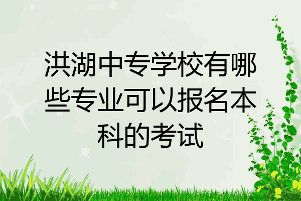洪湖中专学校有哪些专业可以报名本科的考试
