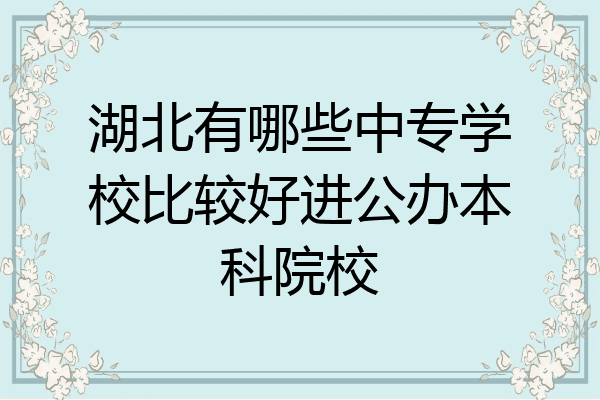 湖北有哪些中专学校比较好进公办本科院校