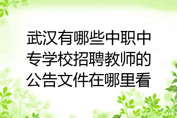 武汉有哪些中职中专学校招聘教师的公告文件在哪里看