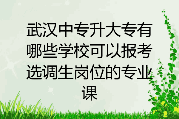 武汉中专升大专有哪些学校可以报考选调生岗位的专业课