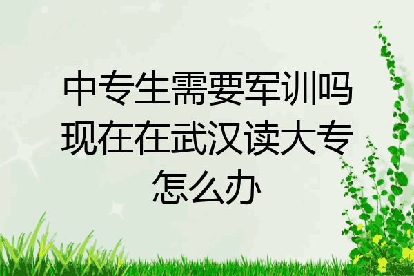 中专生需要军训吗现在在武汉读大专怎么办
