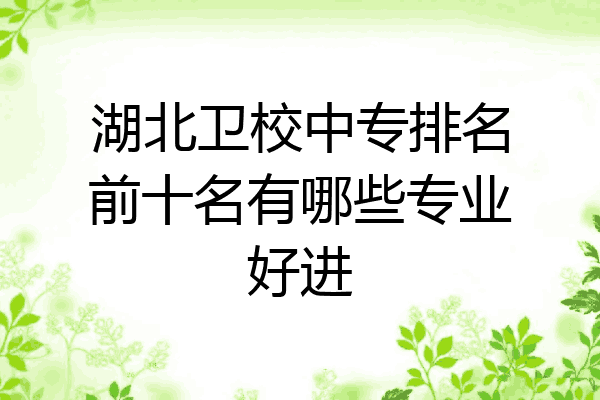 湖北卫校中专排名前十名有哪些专业好进