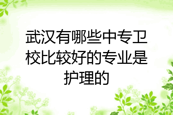 武汉有哪些中专卫校比较好的专业是护理的