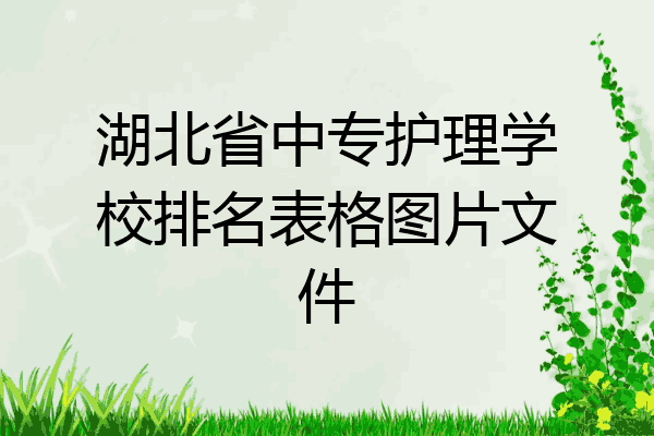 湖北省中专护理学校排名表格图片文件