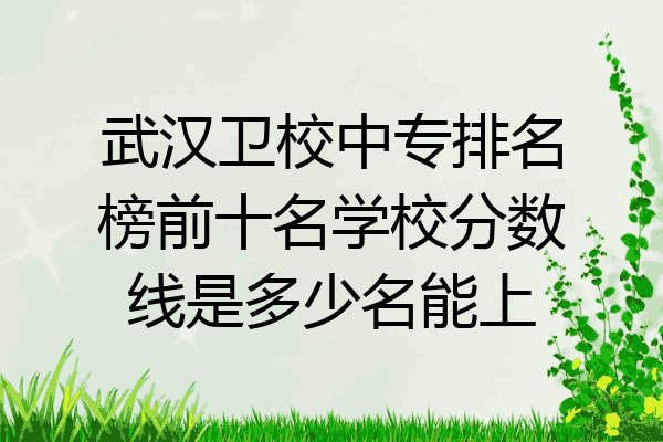 武汉卫校中专排名榜前十名学校分数线是多少名能上