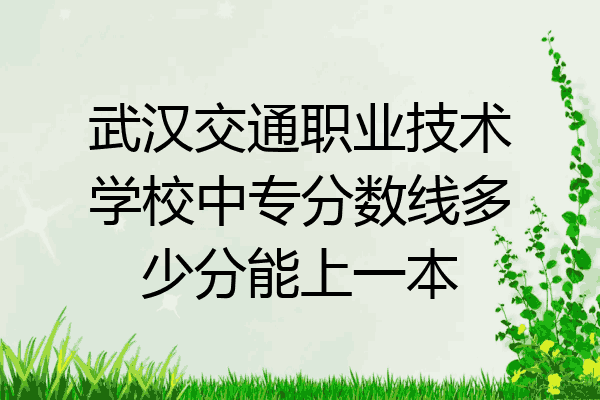 武汉交通职业技术学校中专分数线多少分能上一本