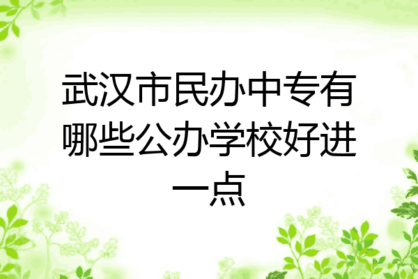 武汉市民办中专有哪些公办学校好进一点