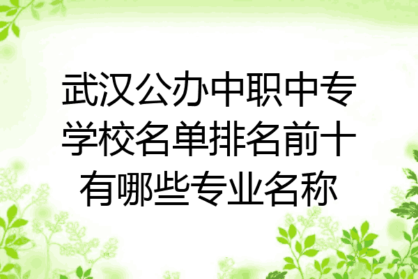 武汉公办中职中专学校名单排名前十有哪些专业名称
