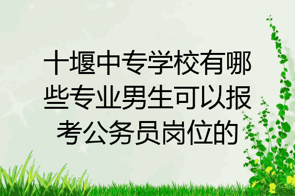 十堰中专学校有哪些专业男生可以报考公务员岗位的