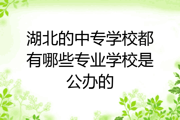 湖北的中专学校都有哪些专业学校是公办的