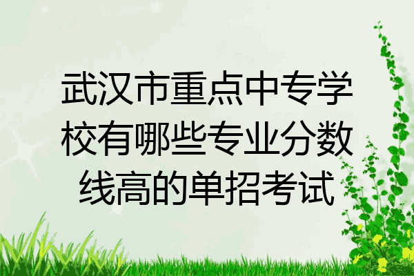 武汉市重点中专学校有哪些专业分数线高的单招考试