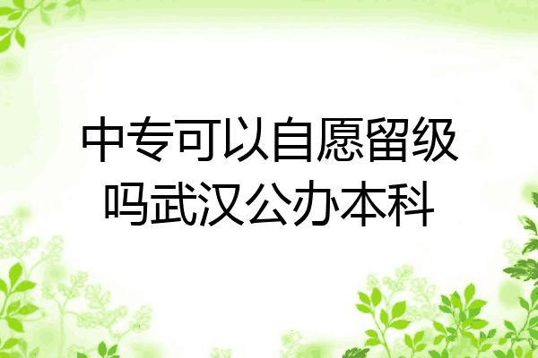 中专可以自愿留级吗武汉公办本科