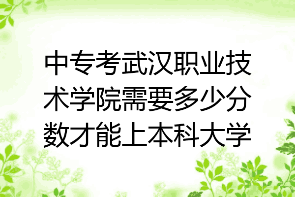 中专考武汉职业技术学院需要多少分数才能上本科大学