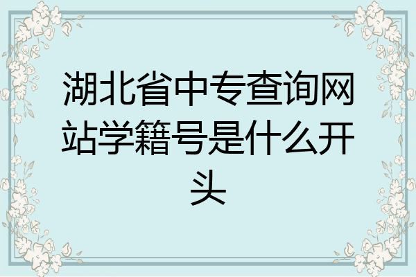 湖北省中专查询网站学籍号是什么开头