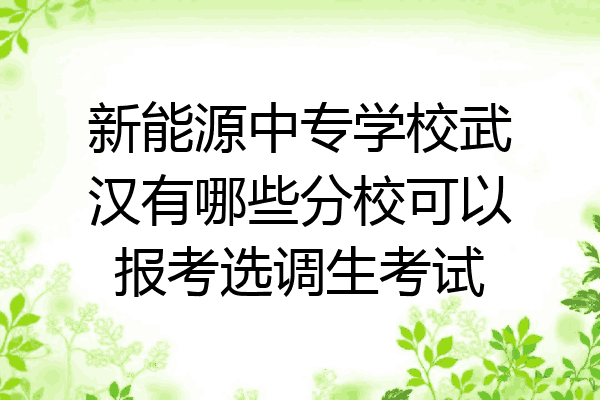 新能源中专学校武汉有哪些分校可以报考选调生考试