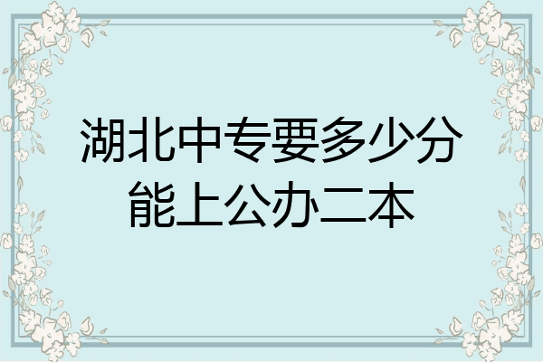 湖北中专要多少分能上公办二本