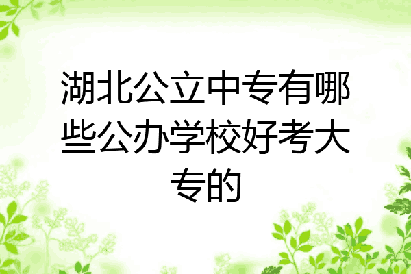 湖北公立中专有哪些公办学校好考大专的