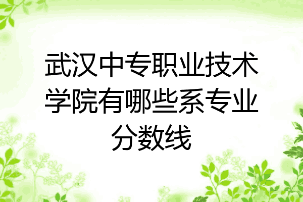 武汉中专职业技术学院有哪些系专业分数线