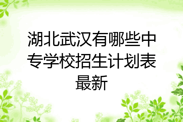 湖北武汉有哪些中专学校招生计划表最新