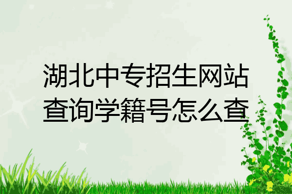湖北中专招生网站查询学籍号怎么查