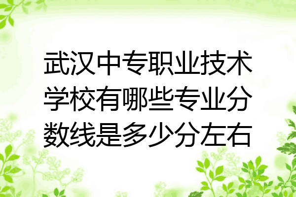 武汉中专职业技术学校有哪些专业分数线是多少分左右