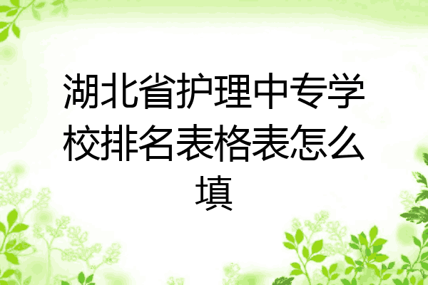 湖北省护理中专学校排名表格表怎么填