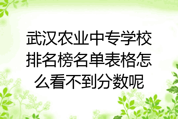 武汉农业中专学校排名榜名单表格怎么看不到分数呢
